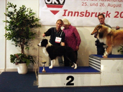 Internationale Hundeausstellung Innsbruck 26.08.2007