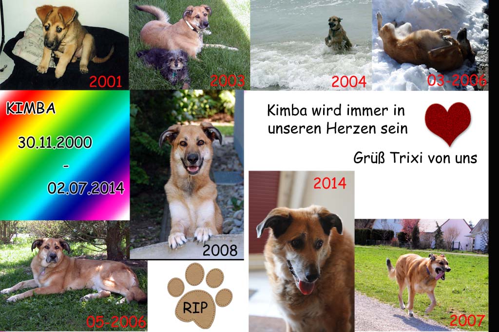 Kimba RIP 30.11.2000 - 02.07.2014