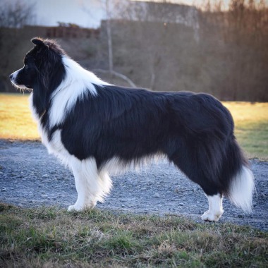 New Dreams Border Well Done Mio IMG 0243