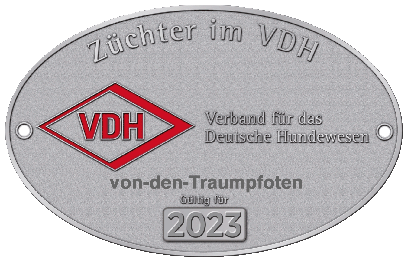 Plakette VDH 2019 mit vdTp Logo