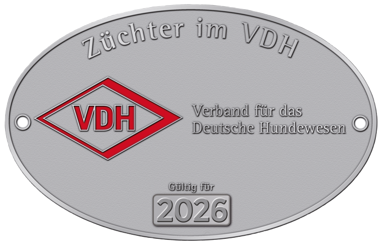Plakette VDH 2019 mit vdTp Logo